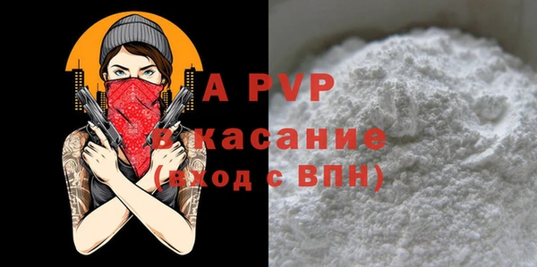 a pvp Бородино